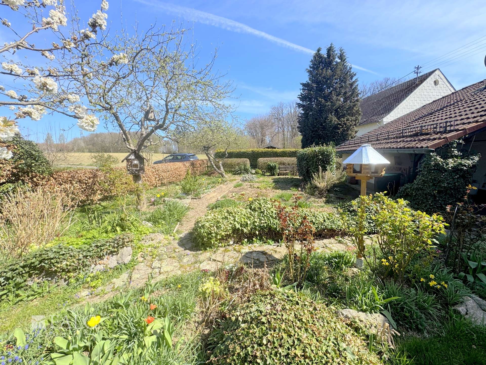 Garten